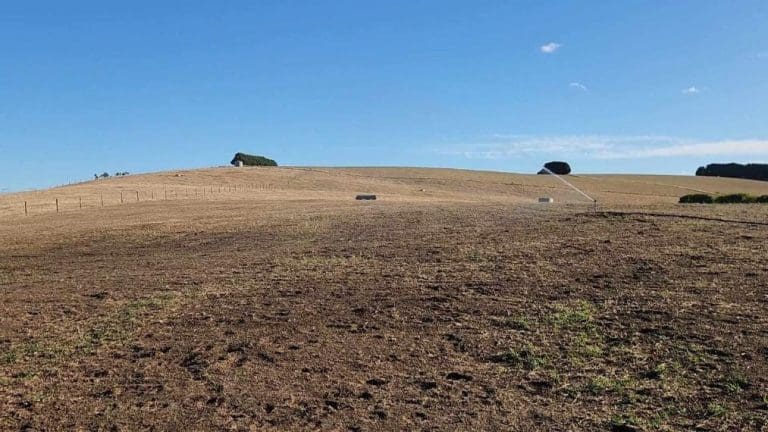 Paddocks looking dry in Mirboo North