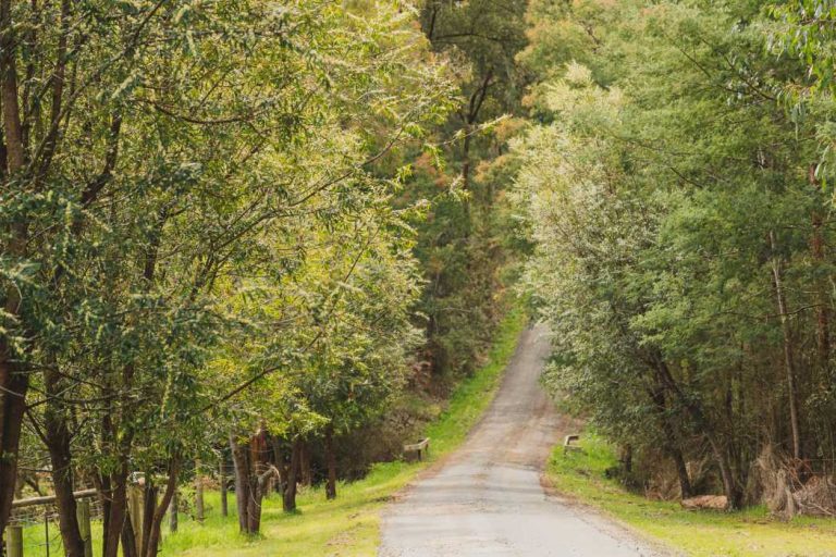 The driveway leading to Willarah Farm in Mirboo North