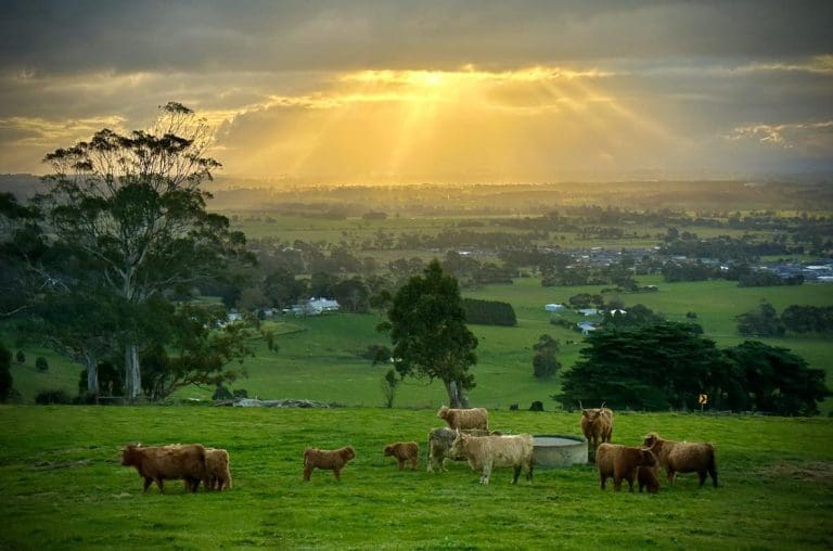 Views from Serenity Farms Victoria